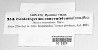 Coniothyrium concentricum image